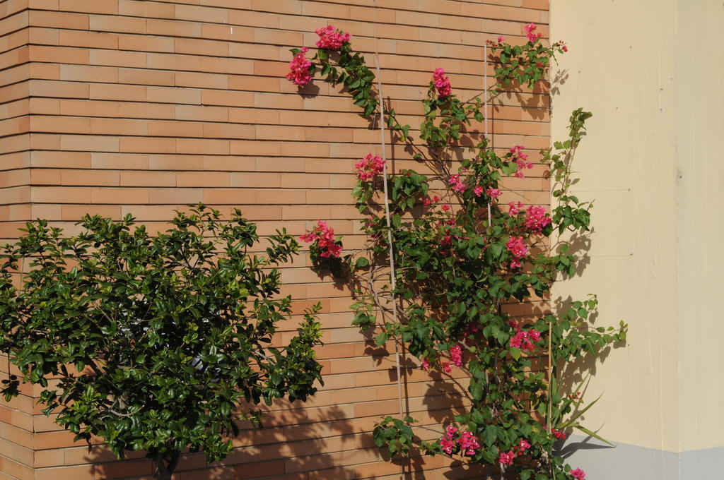 Marinetta Bed&Breakfast Signa Exterior foto